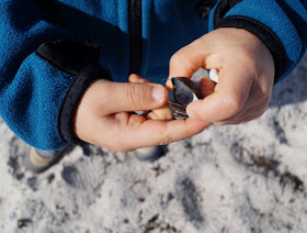 Der Strand von Wendtorf im Naturschutzgebiet Bottsand. Die Kinder sammel gerne Muscheln und Steine am Ufersaum.