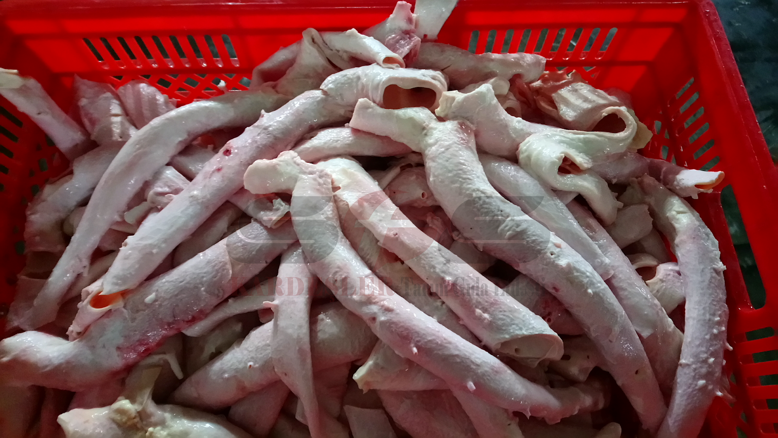 аорта свиная