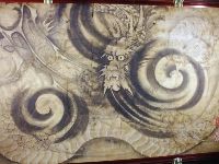 人文パイプぶろぐ