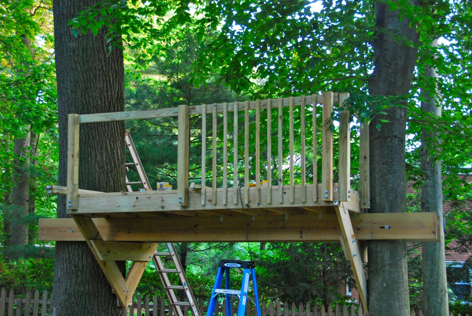 DC Elliotts Treehouse Days 12, 13 and 14