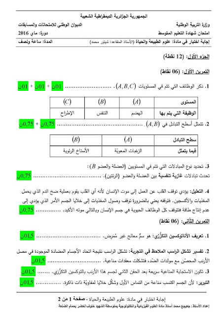 حلول شهادة البيام 2016 لجميع المواد 10