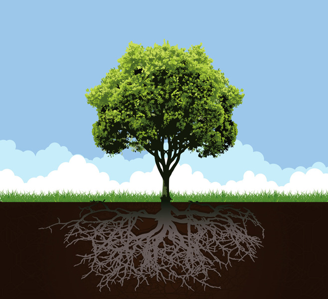 clipart tree with roots and fruit - photo #25