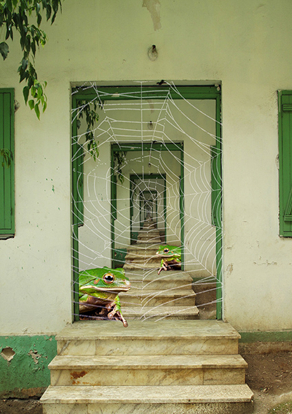 Dim Meat Trees Behind The Green Door