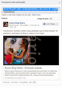 Nosso Blog Diário. Dulcinéia de Sá.