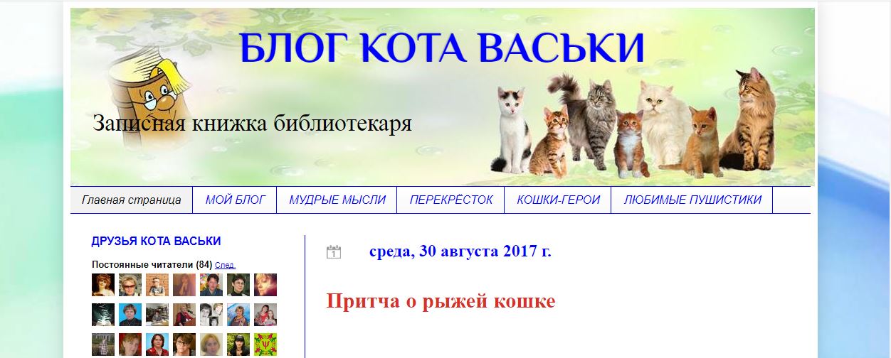 жж коте