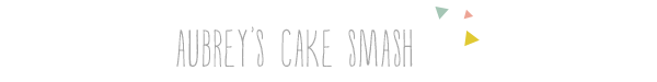 cake smash photographers in winston salem nc cake smash photographers in winston salem nc