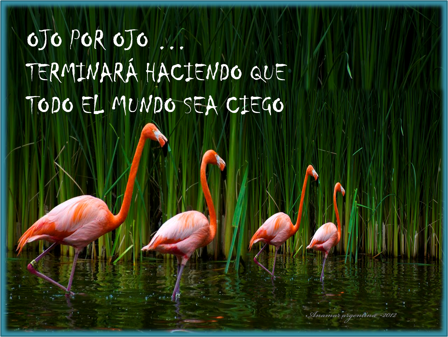 Frases positivas y motivadoras con imagen - Imagui