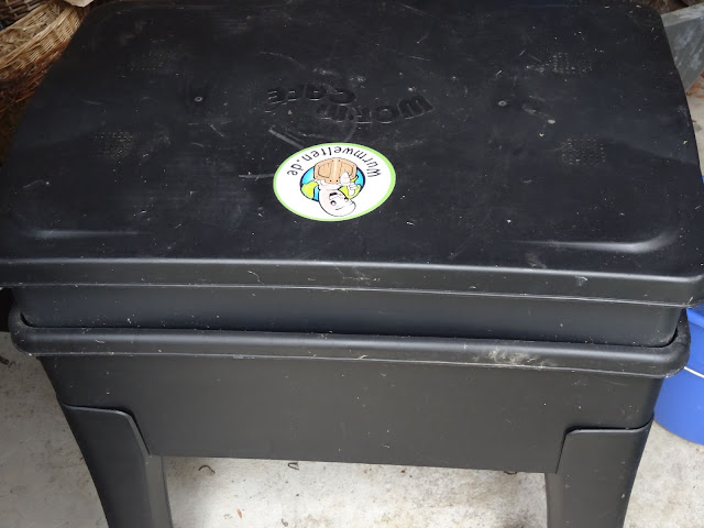 Bodenseewellen: Hurra, sie leben noch!