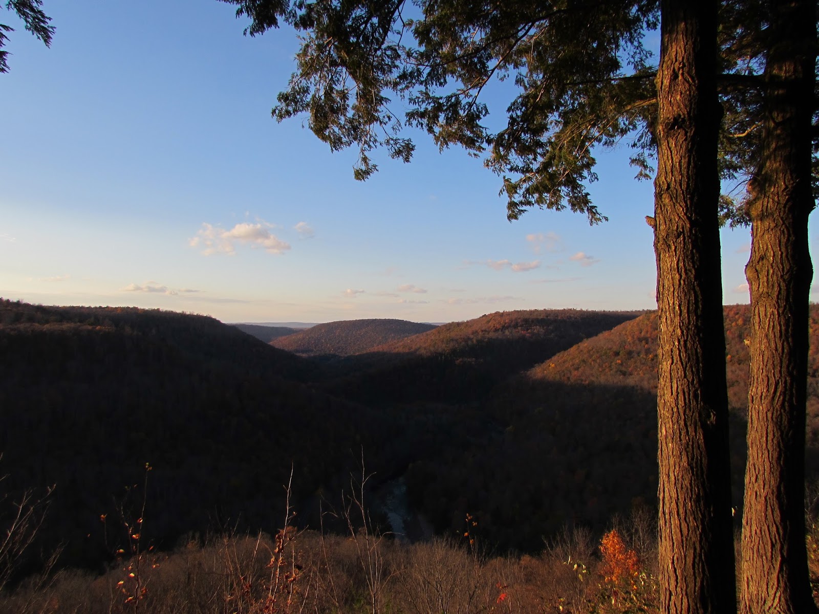 Loyalsock Canyon Vista, Worlds End State Park, Sullivan County, PA