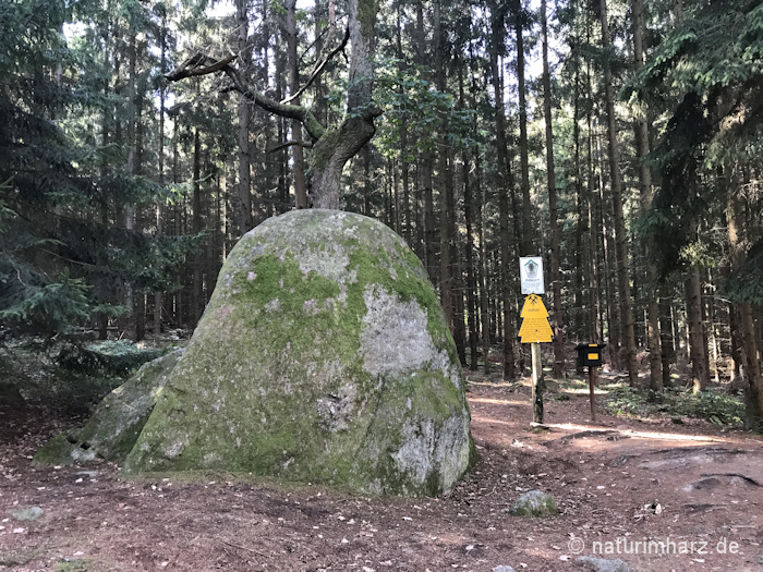 Der Wanderfreund Nordtour Harzer Hexen Stieg Etappe 3 Von Altenau