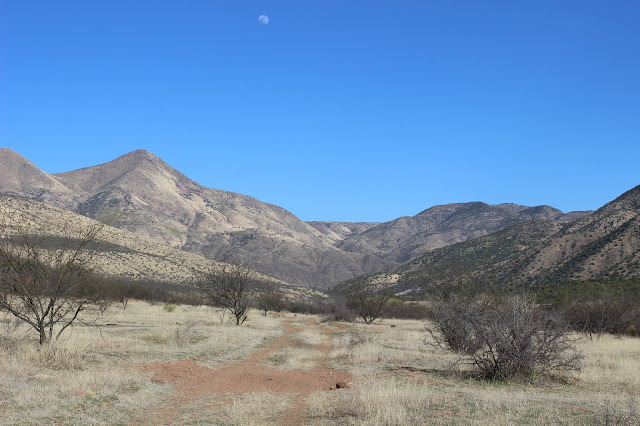 Guided%2BCoues%2BDeer%2BHunts%2Bin%2BSonora%2BMexico%2Bwith%2BJay%2BScott%2Band%2BDarr%2BColburn%2BDIY%2Band%2BFully%2BOutfitted%2B1.JPG