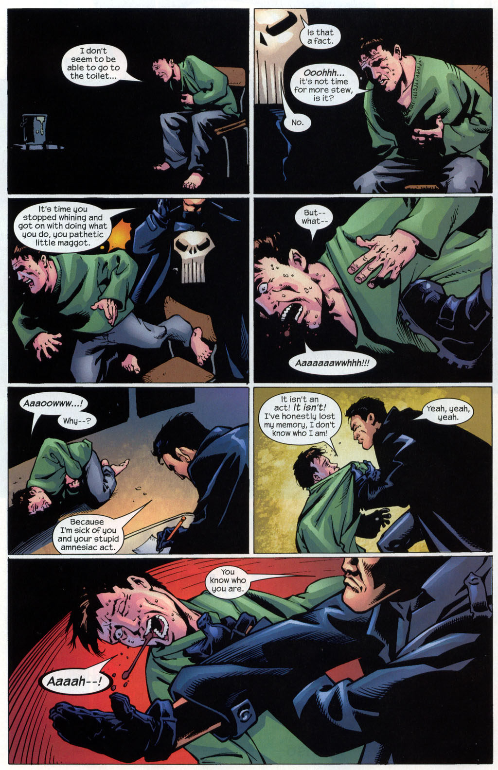 The Punisher (2001) issue 36 - Confederacy of Dunces #04 - Page 17