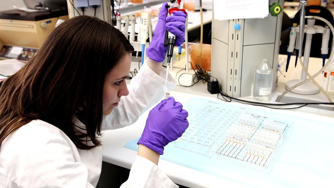 Medical Lab Technician Schools Online School Choices