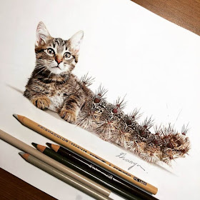 11-Cat-Caterpillar-Guanyu-Animal-Mashup-www-designstack-co