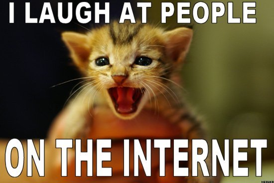 I laugh at people on the internet | Funny Cat Pictures