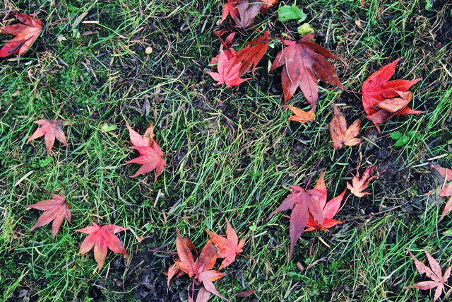 Die Kunst, den Alltag zu feiern...: Muskelkater & neue Eckbank in der Küche