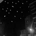 Noche Estrellada en la Terraza del Matadero de Madrid
