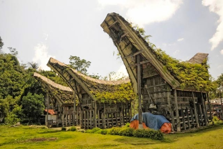 Desain Rumah Adat Sulawesi Selatan Tongkonan Foto Gambar