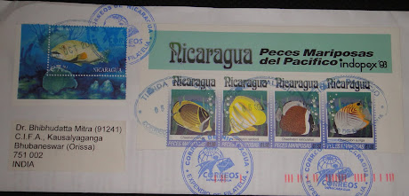 Cover from Nicaragua