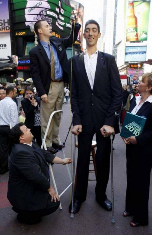 Pria tinggi