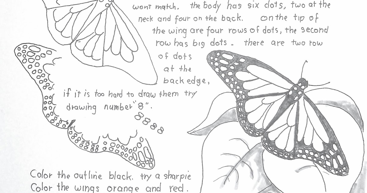 How to Draw Worksheets for The Young Artist How to Draw A Monarch