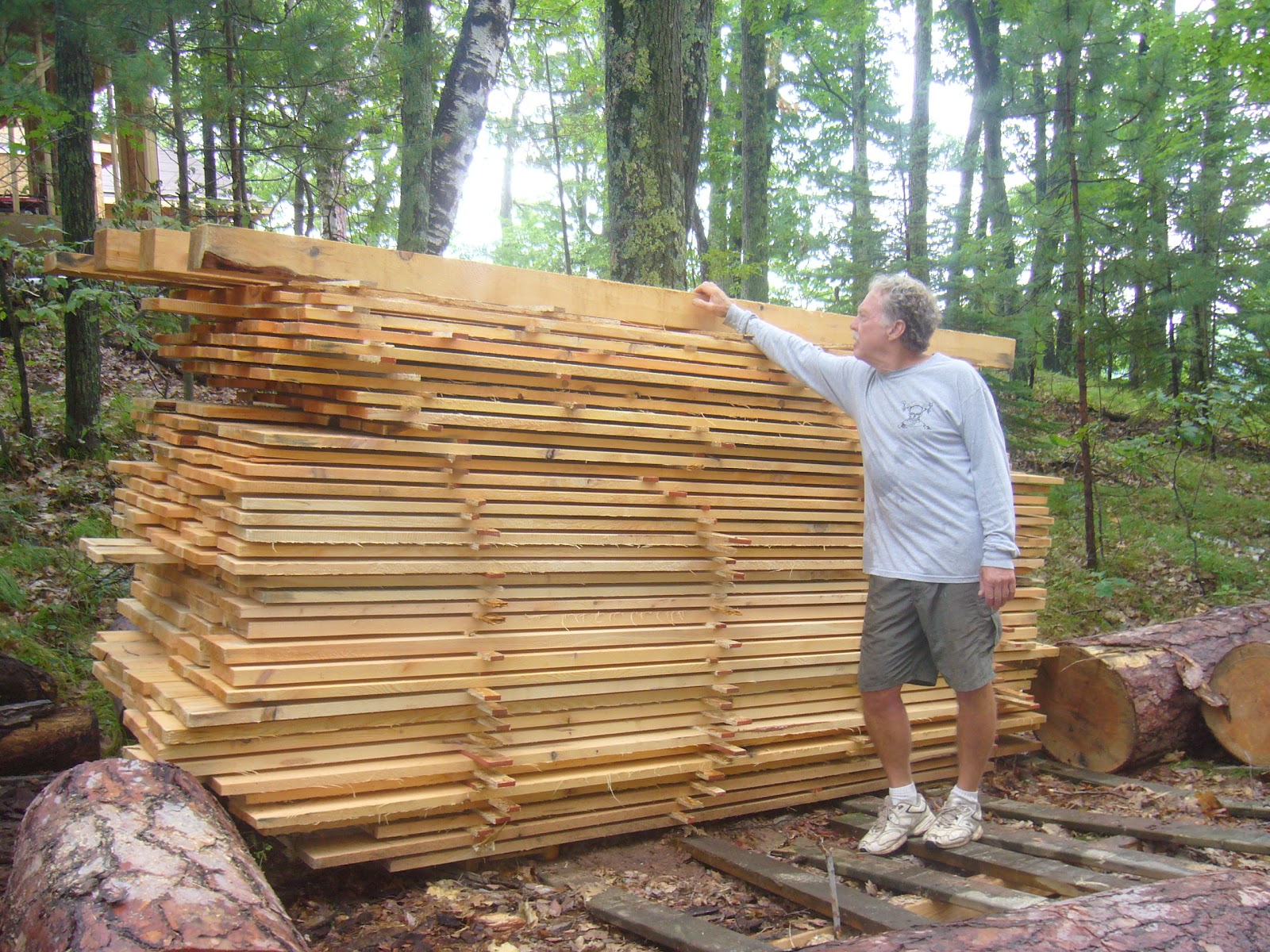 Building the New Cabin Our Trees Are Now Useable!