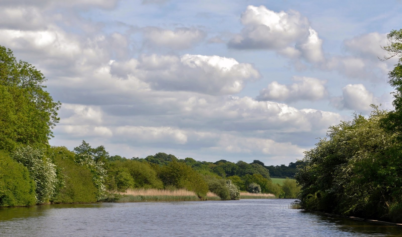 rambles with a camera Shipwreck on the River Weaver