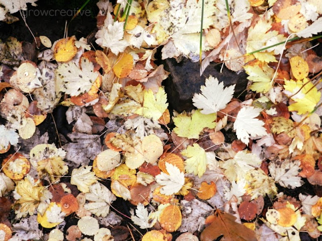 Fall yellow leaves: growcreativeblog