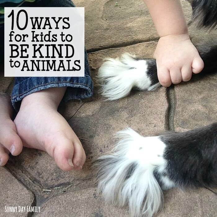 How to Be Kind to Animals: 10 Ideas for Kids with Free Printable | Sunny  Day Family