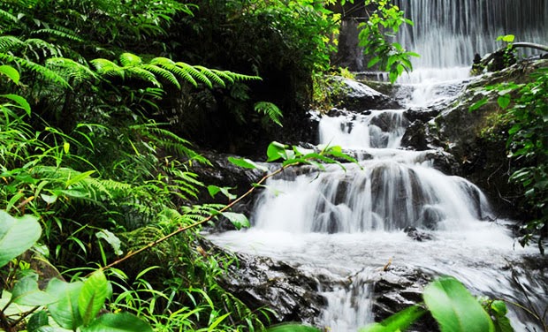 Wayanad in Kerala