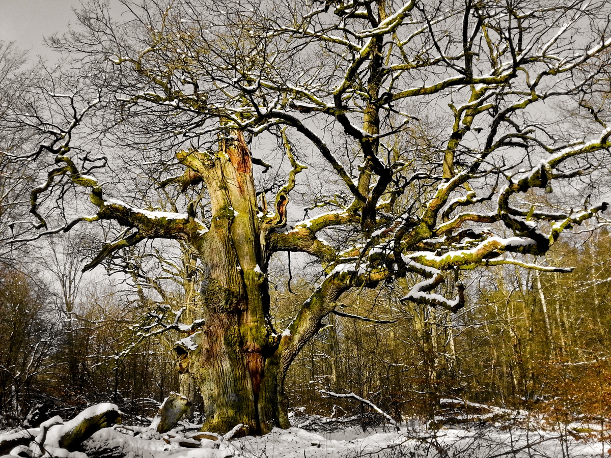 Hessische Klimaforschung Liste Abgeschalteter Wetterstationen In