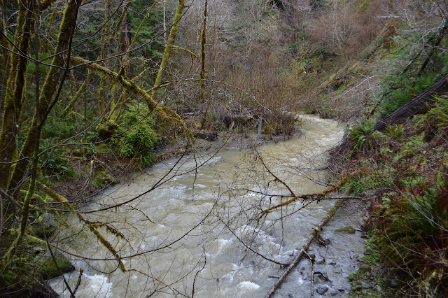 South Fork Elk River