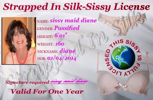 The sissy driver's license
