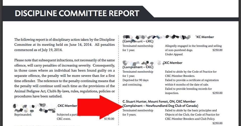 ckc registered breeders
