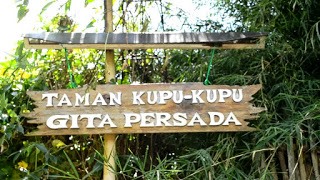 Wisata Edukasi bagi anak-anak di Taman Kupu Kupu Gita Persada, Lampung
