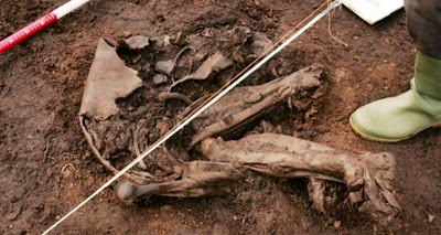Irish 'bog body' may be world’s oldest