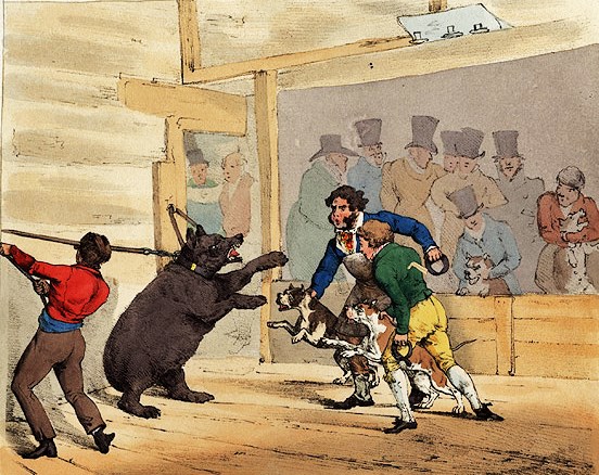 Early European Public Parks: Sports &amp; Games - General History - Bear-baiting