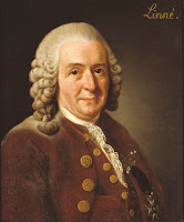 Carolus Linnaeus (Carlos Lineu)