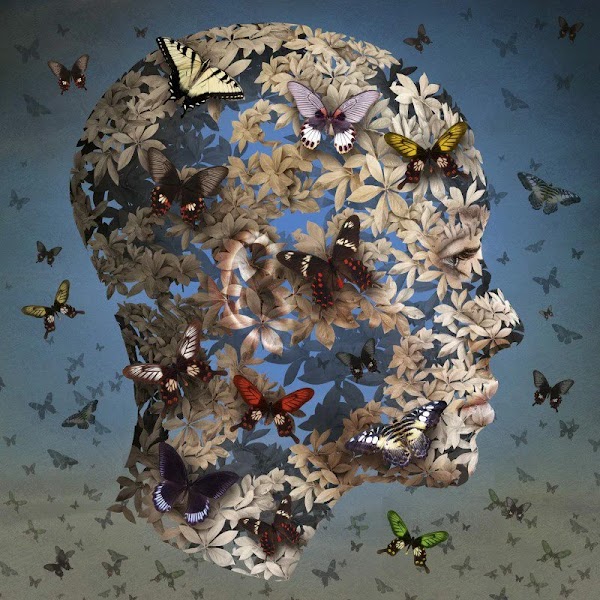 Gilles Deleuze y Félix Guattari | Del Caos al Cerebro Gilles Deleuze y Félix Guattari | Del Caos al Cerebro