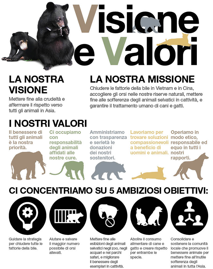 i gatti muoiono per uti i gatti muoiono per uti