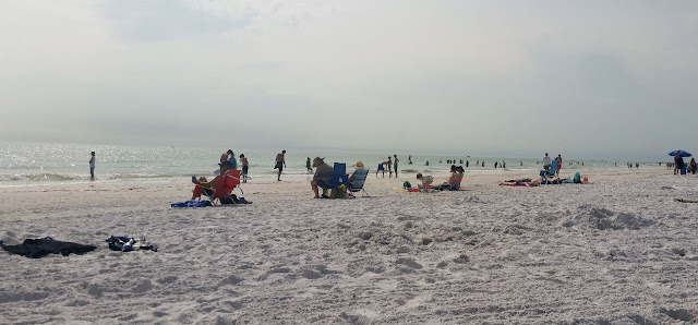 Something About Me Saturday:  More Siesta Key Pictures 2016 --How Did I Get Here? My Amazing Genealogy Journey