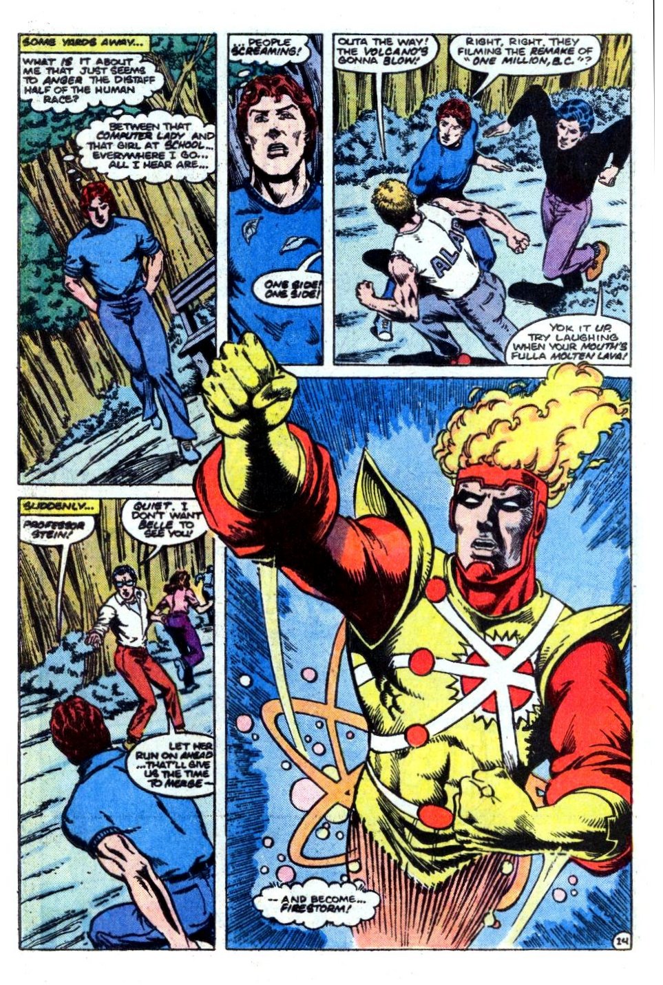 The Fury of Firestorm Issue #29 #33 - English 15