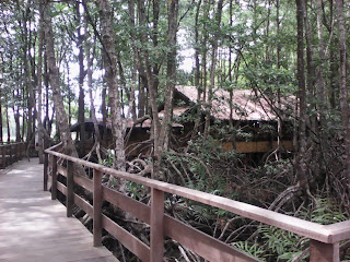 SATURDAY WEEKEND AT SABANDAR LEISURE RIDE, TUARAN SABANDAR LEISURE RIDE, TUARAN