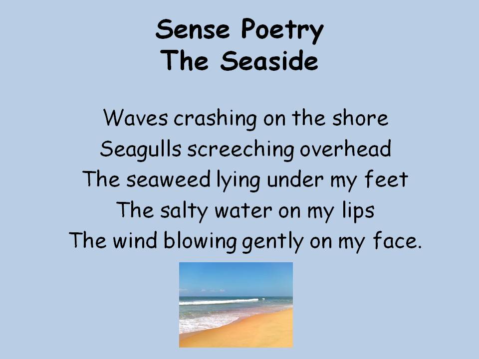 Ms. Forde's Classroom Fun with the 5 Senses