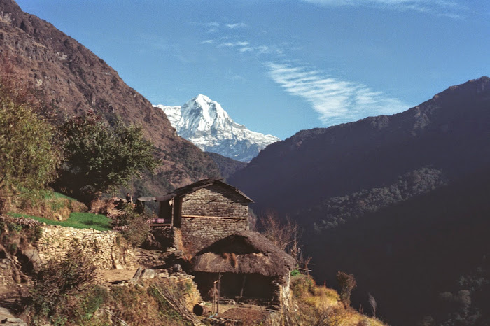 Népal, Pokhara, Annapurna, Ulleri, Ghorapani, © L. Gigout, 1990