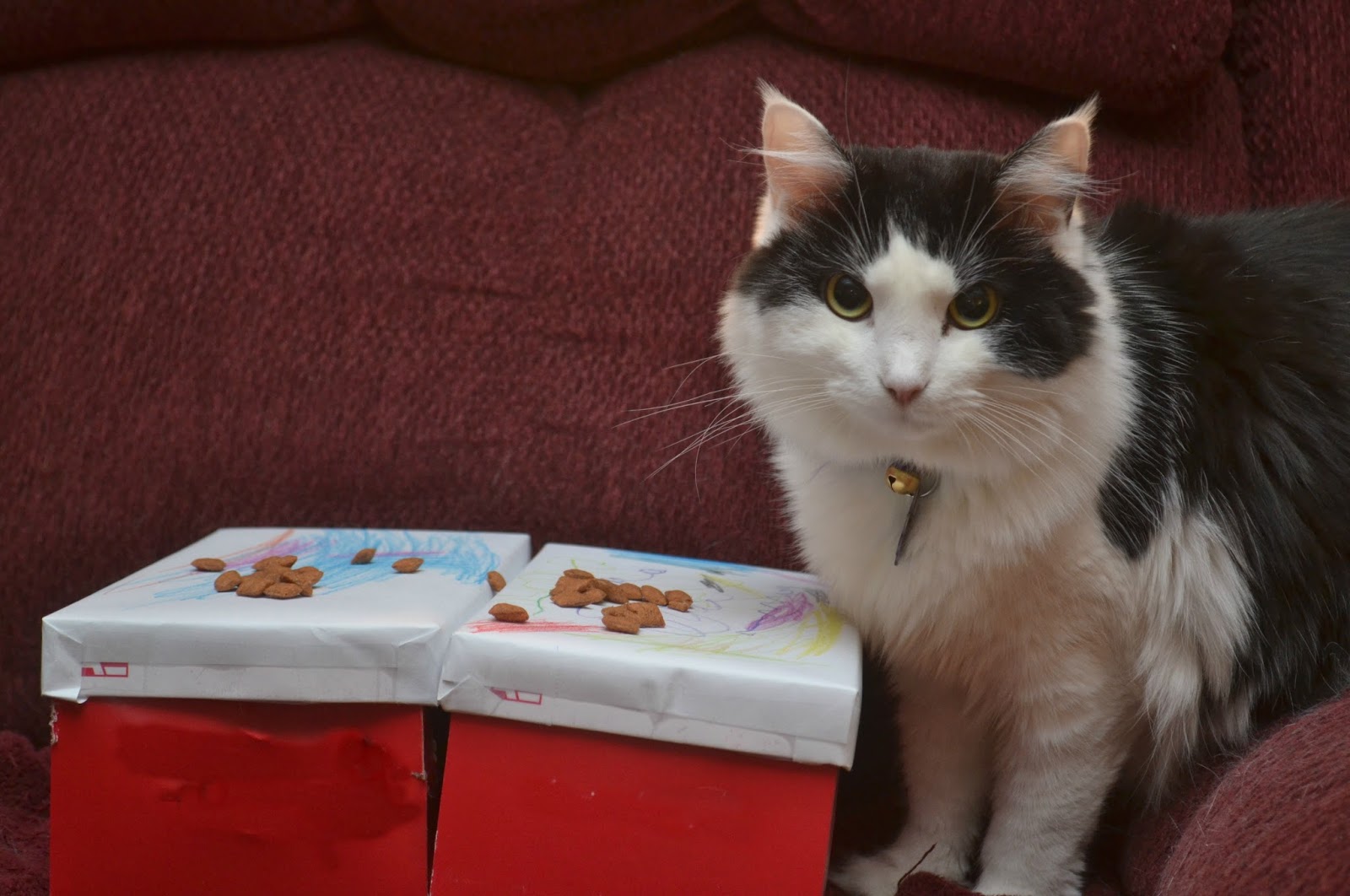 Blessing Box for Cats Animal Shelter Donations Building Our Story