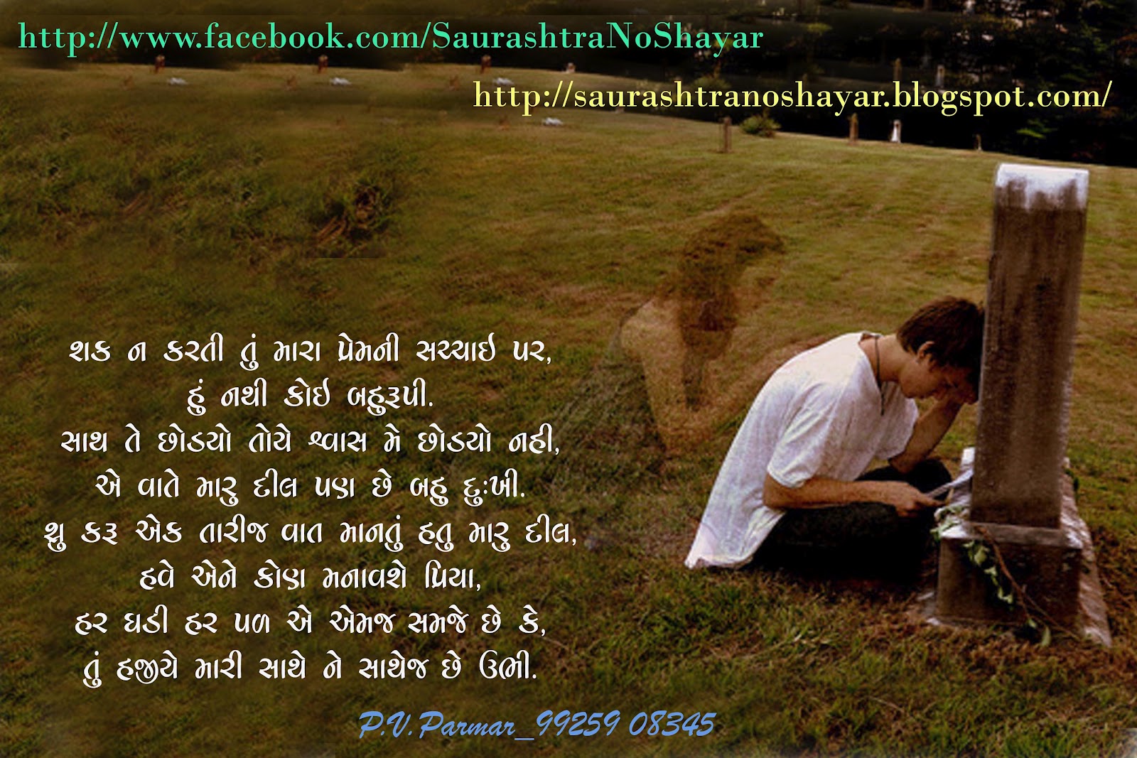 Saurashtra No Shayar: TRUE LOVE SHAYARI