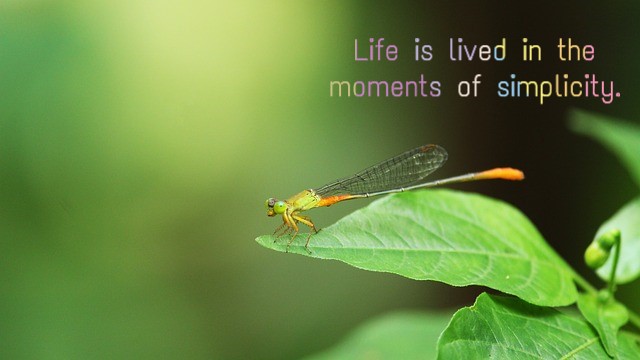English status about life English status about life