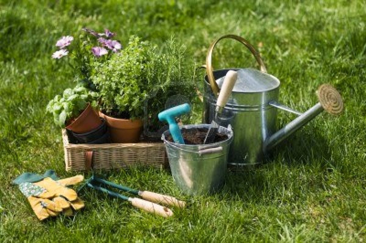 Francés en la UPP: Les Français aiment le jardinage