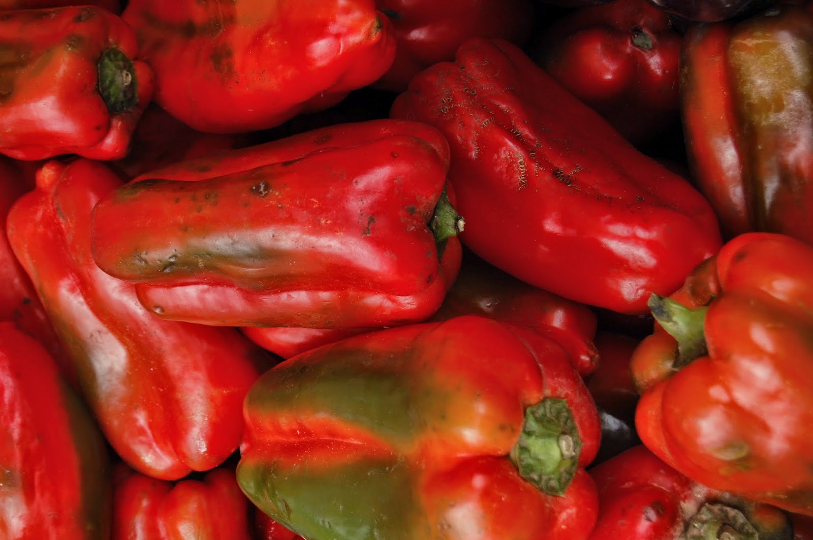 Whole Health Medicine Capsicum annuum Homeopathy in Your Garden!